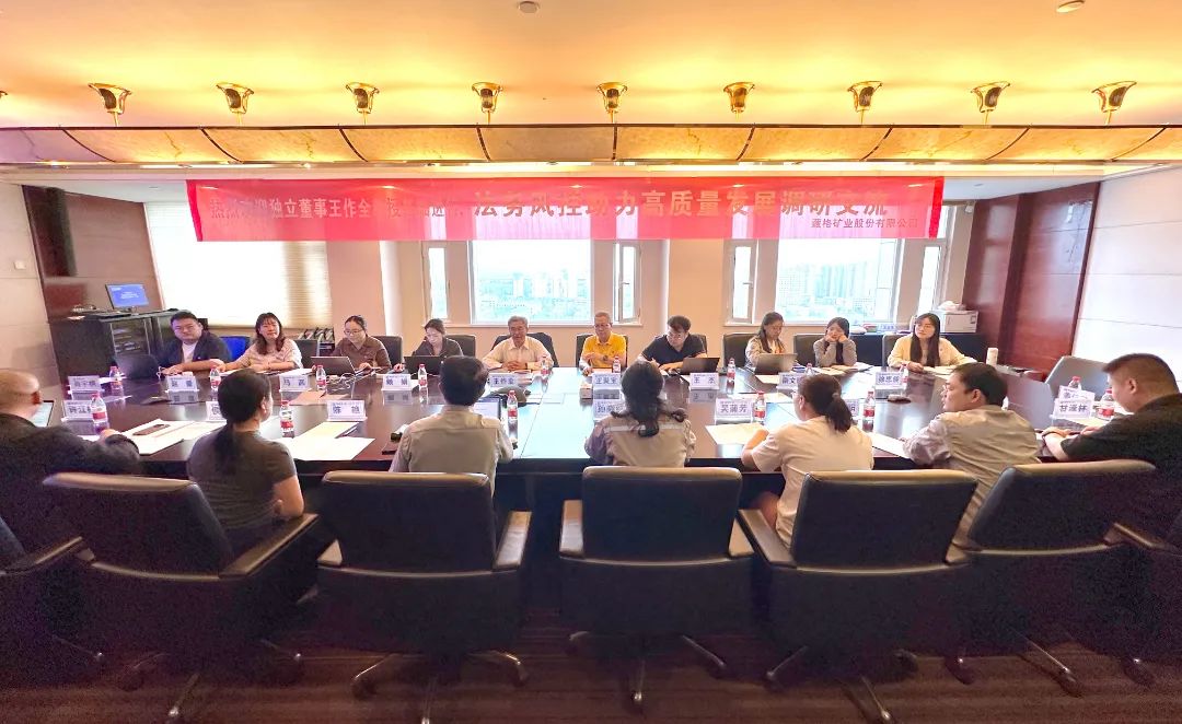 Independent Director Mr. Wang Zuoyuan Visits the Company for Legal and Risk Control Research and Exchange