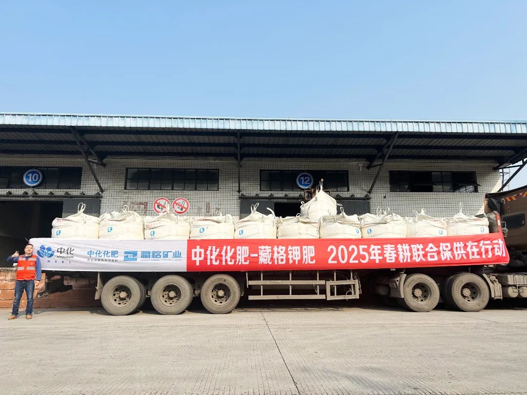 “Zangge-Sinofert” Join Hands to Ensure Fertilizer Supply for Spring Plowing