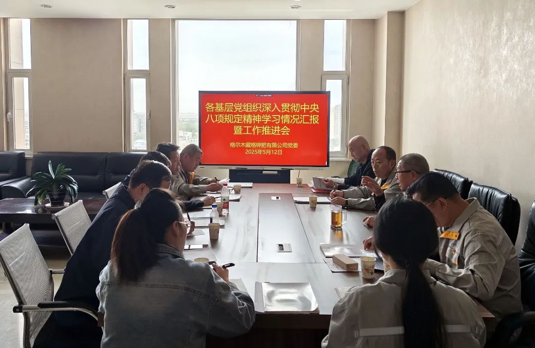 The Party Committee of Zangge Potash Fertilizer Holds Meeting on Reports and Work Advancement of Grassroots Party Organizations’ Study on the Spirit of the Central Eight-Point Regulation